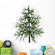 Araucaria Evergreen Tree from Wall Decal