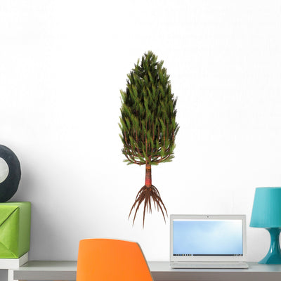 Asterophyllites Plant from Carboniferous Wall Decal shown on a wall