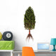 Asterophyllites Plant from Carboniferous Wall Decal