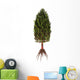 Asterophyllites Plant from Carboniferous Wall Decal