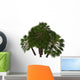 Group Chamaerops Palms Family Wall Decal