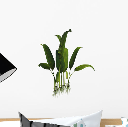 Prehistoric Macrotaeniopteris Plant from Wall Decal