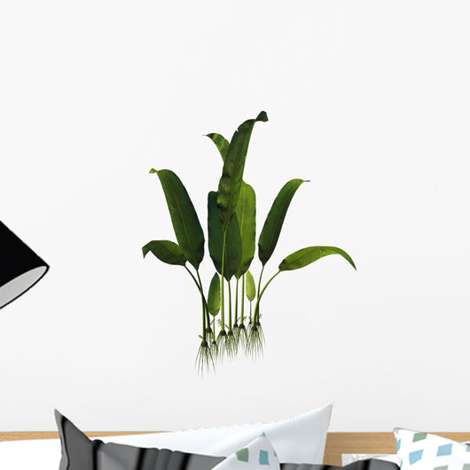 Prehistoric Macrotaeniopteris Plant from Wall Decal