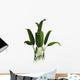 Prehistoric Macrotaeniopteris Plant from Wall Decal