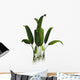 Prehistoric Macrotaeniopteris Plant from Wall Decal
