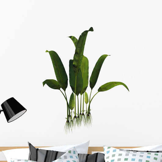 Prehistoric Macrotaeniopteris Plant from Wall Decal