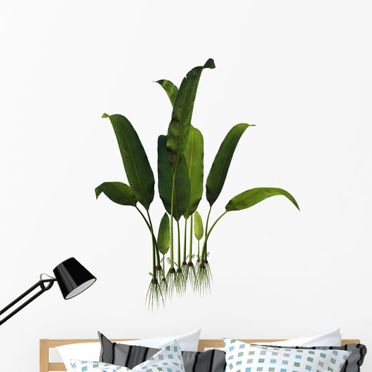 Prehistoric Macrotaeniopteris Plant from Wall Decal