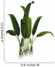 Prehistoric Macrotaeniopteris Plant from Wall Decal