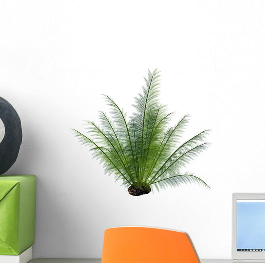 Prehistoric Onychiopsis Fern White Wall Decal
