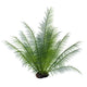 Prehistoric Onychiopsis Fern White Wall Decal