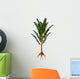 Extinct Pachypteris Plant from Wall Decal