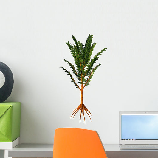 Extinct Pachypteris Plant from Wall Decal