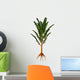 Extinct Pachypteris Plant from Wall Decal