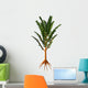 Extinct Pachypteris Plant from Wall Decal