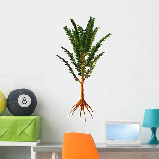 Extinct Pachypteris Plant from Wall Decal