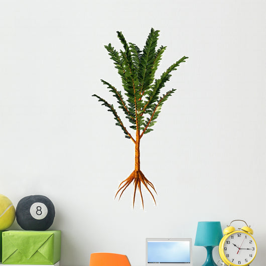 Extinct Pachypteris Plant from Wall Decal