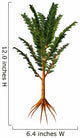 Extinct Pachypteris Plant from Wall Decal