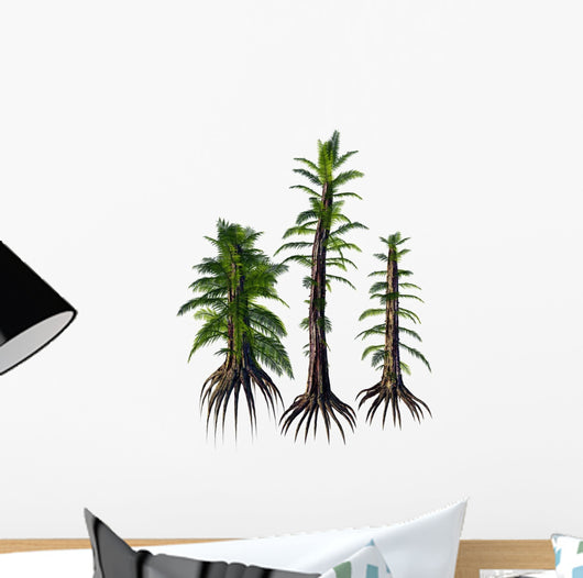 Tempskya Tree-like Ferns from Wall Decal