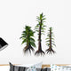 Tempskya Tree-like Ferns from Wall Decal
