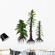 Tempskya Tree-like Ferns from Wall Decal