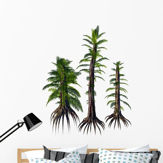 Tempskya Tree-like Ferns from Wall Decal