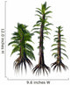 Tempskya Tree-like Ferns from Wall Decal