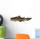 Edestus Shark White Wall Decal