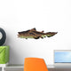 Edestus Shark White Wall Decal