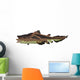 Edestus Shark White Wall Decal