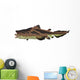 Edestus Shark White Wall Decal