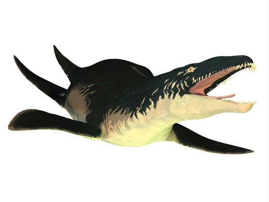 Extinct Liopleurodon Reptile White Wall Decal