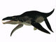Side Profile Extinct Liopleurodon Wall Decal