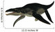 Side Profile Extinct Liopleurodon Wall Decal