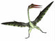 Quetzalcoatlus Reptile White Wall Decal