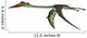 Quetzalcoatlus Reptile Flying White Wall Decal