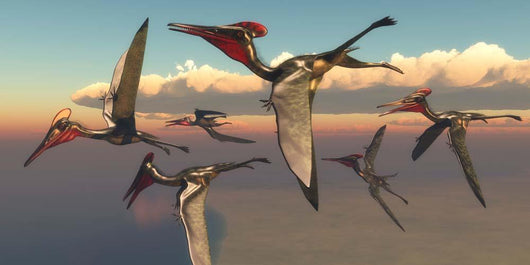 Flock Pterodactylus Pterosaurs Flying Wall Decal