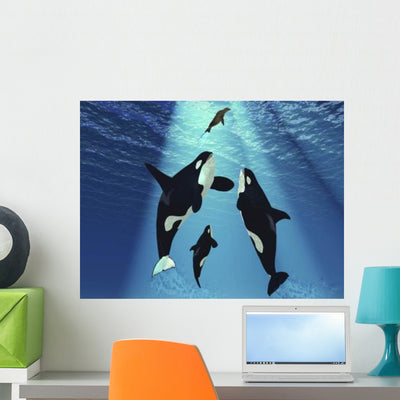 Seal Swims to Surface Wall Decal shown on a wall
