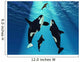 Seal Swims to Surface Wall Decal