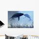 Two Humpback Whales over Wall Decal