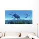 School Blue Tango Fish Wall Decal