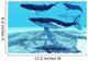 Humpback Whales Swim Together Wall Decal