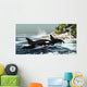 Two Killer Whales Swim Wall Decal