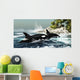 Two Killer Whales Swim Wall Decal