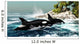 Two Killer Whales Swim Wall Decal