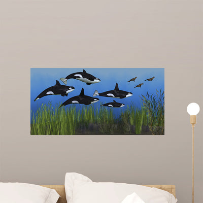 Several Seals Try to Wall Decal shown on a wall