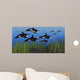Several Seals Try to Wall Decal