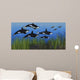 Several Seals Try to Wall Decal