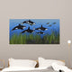 Several Seals Try to Wall Decal