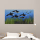 Several Seals Try to Wall Decal