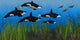 Several Seals Try to Wall Decal
